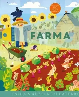 Leporelá, krabičky, puzzle knihy Posvieť a hľadaj - Farma