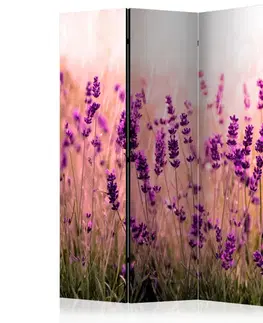 Paravány Paraván Lavender in the Rain Dekorhome