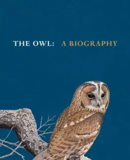 Biológia, fauna a flóra The Owl - A Biography - Stephen Moss