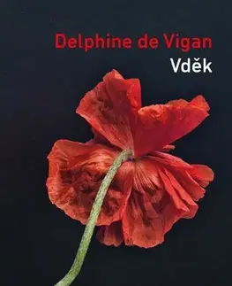 Romantická beletria Vděk - Delphine de Vigan
