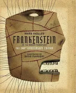 Cudzojazyčná literatúra Frankenstein - Mary Shelley,Plunkert David