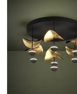 Svietidlá Eglo 390411 - LED Stmievateľné stropné svietidlo DRACERA 7xLED/2,3W/230V 3000K 390411