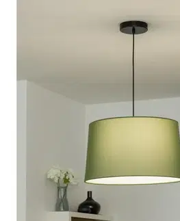 Svietidlá BRILAGI - LED luster na lanku CERIA 1xE27/40W/230V priemer 45 cm zelený BG3987+EG781045