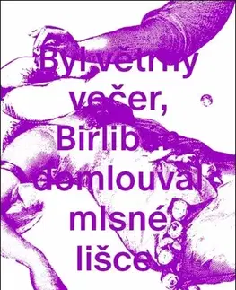 Česká poézia Silvuple - Ewald Murrer