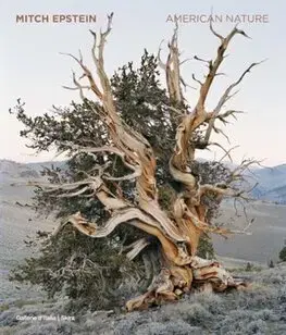 Fotografia American Nature - Mitch Epstein