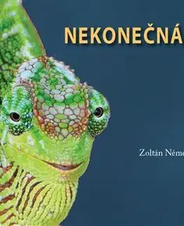 Poézia - antológie Nekonečná kapacita - Kolektív autorov