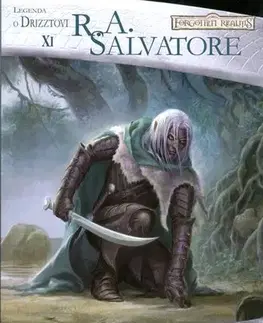 Sci-fi a fantasy Tichá čepel Temné stezky I. - Salvatore Robert Anthony,Kateřina Niklová