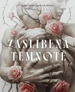 Young adults Zaslíbená temnotě - Lyndall Clipstone,Tereza Demjaničová
