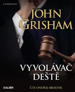 Detektívky, trilery, horory OneHotBook Vyvolávač deště - audiokniha 2CDmp3