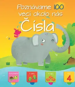 Leporelá, krabičky, puzzle knihy Poznávame 100 vecí okolo nás - Čísla