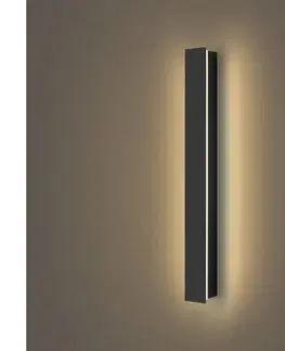 LED osvetlenie BRILAGI - LED vonkajšie nástenné svietidlo LINEAR LED/12W/230V 3000K IP65 čierne BRI279