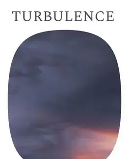 Svetová beletria Turbulence - David Szalay