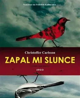 Detektívky, trilery, horory Zapal mi slunce - Christoffer Carlsson