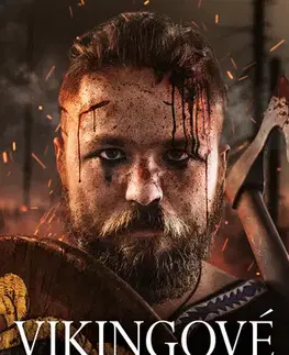 Detektívky, trilery, horory Vikingové: Smrt synů - Lasse Holm