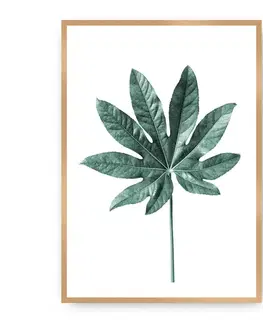Obrazy Plagát Leaf Emerald Green