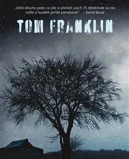 Detektívky, trilery, horory Dvě klikaté cesty - Tom Franklin