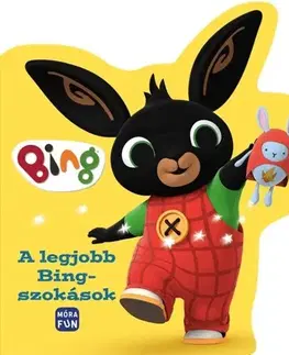 Leporelá, krabičky, puzzle knihy A legjobb Bing-szokások