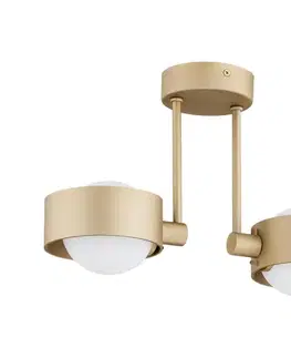 Svietidlá Argon 7215 - Kúpeľňový luster na tyči MASSIMO PLUS 2xG9/6W/230V IP44 zlatá 7215