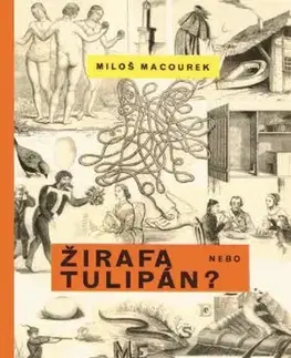Humor a satira Žirafa nebo tulipán - Miloš Macourek,Adolf Hoffmeister