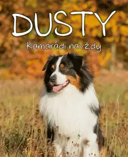 Pre deti a mládež - ostatné Dusty: Kamarádi navždy - Jan Andersen
