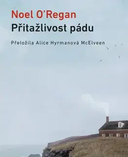 Romantická beletria Přitažlivost pádu - Noel O´Regan