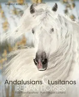 Fotografia Iberian Horses - Andalusians & Lusitanos - Gabrielle Boiselle