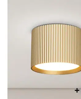 Svietidlá BRILAGI - LED Bodové svietidlo STRIPY 1xGX53/15W/230V zlaté WO-GX-04-GOLD-OEM