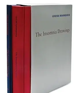 Maliarstvo, grafika Louise Bourgeois: The Insomnia Drawings - Louise Bourgeois,Marie-Laure Bernadac,Bronfen Elisabeth