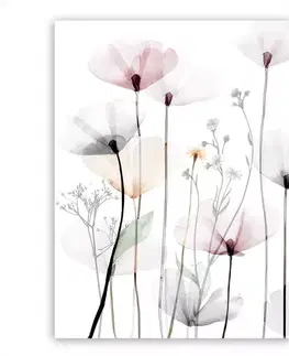 Dekorácie a bytové doplnky Obraz na plátne 60x80 cm St543 Modern Poppy 1