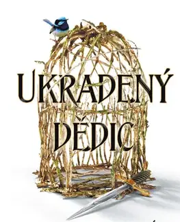 Fantasy, upíri Ukradený dědic - Holly Black