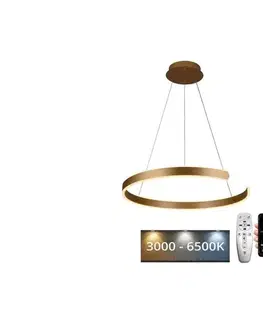 Svietidlá  LED Stmievateľný luster na lanku LED/70W/230V 3000-6500K + diaľkové ovládanie J4326/G