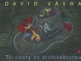 Architektúra Tři cesty za architekturou - David Vávra