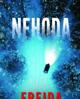 Detektívky, trilery, horory Nehoda - Freida McFadden