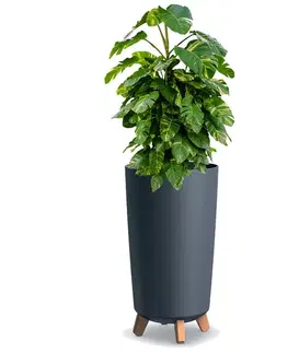 Kvetináče a truhlíky NABBI DGTL240 plastový kvetináč na nožičkách 23,9 cm antracit