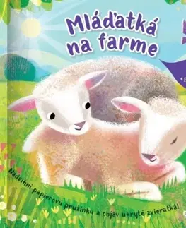 Leporelá, krabičky, puzzle knihy Mláďatká na farme - kniha s pružinkou