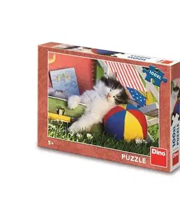 Od 100 dielikov Dino Toys Puzzle Oddychujúce mačiatko 100 XL Dino