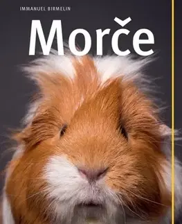 Zvieratá, chovateľstvo - ostatné Morče - Immanuel Birmelin
