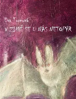 Novely, poviedky, antológie V zimě se u nás netopýr - Eva Turnová