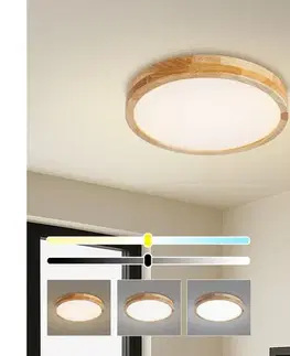 Svietidlá BRILAGI - stmievateľné LED svietidlo WOODLINE LED/48W/230V 3000-6000K dub, priemer 40 cm +DO BRI895