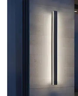 LED osvetlenie  LED vonkajšie nástenné svietidlo MIRANA LED/25W/230V 4000K IP44 120 cm čierne 004722