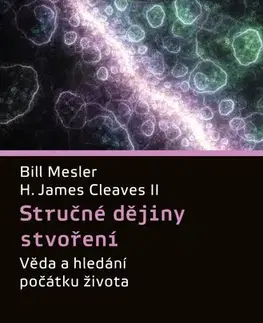 História - ostatné Stručné dějiny stvoření - Bill Mesler,H. James Cleaves,Josef Lhotský