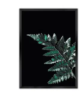 Obrazy Plagát Dark Leaf