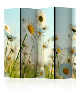 Paravány Paraván Daisies - spring meadow Dekorhome
