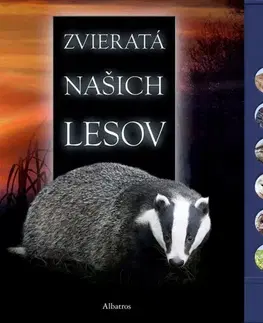 Zvukové knihy Zvieratá našich lesov, 2. vydanie - Andrea Pinnington,Nguyenová Ľuba Anhová