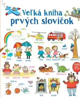 Leporelá, krabičky, puzzle knihy Veľká kniha prvých slovíčok - Mairi Mackinnon,Hindley Kate
