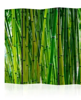 Paravány Paraván Bamboo Forest Dekorhome