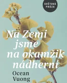Beletria - ostatné Na Zemi jsme na okamžik nádherní - Ocean Vuong