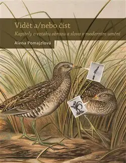 Maliarstvo, grafika Vidět a/nebo číst - Alena Pomajzlová