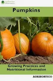 Hobby - ostatné Pumpkins
