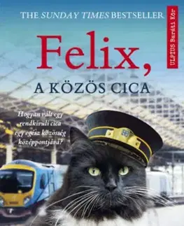 Svetová beletria Felix, a közös cica - Kate Mooreová